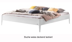 Pieve-Buche-weiss-deckend